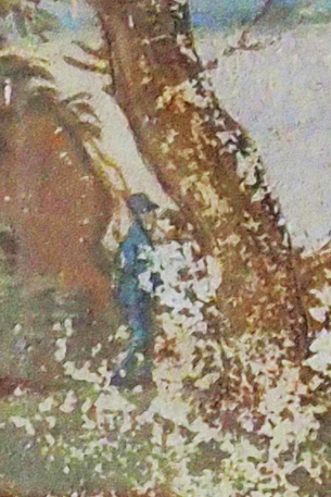 Datei:1842fb9a-1239-4d59-9e6d-c529a3e6f302.png