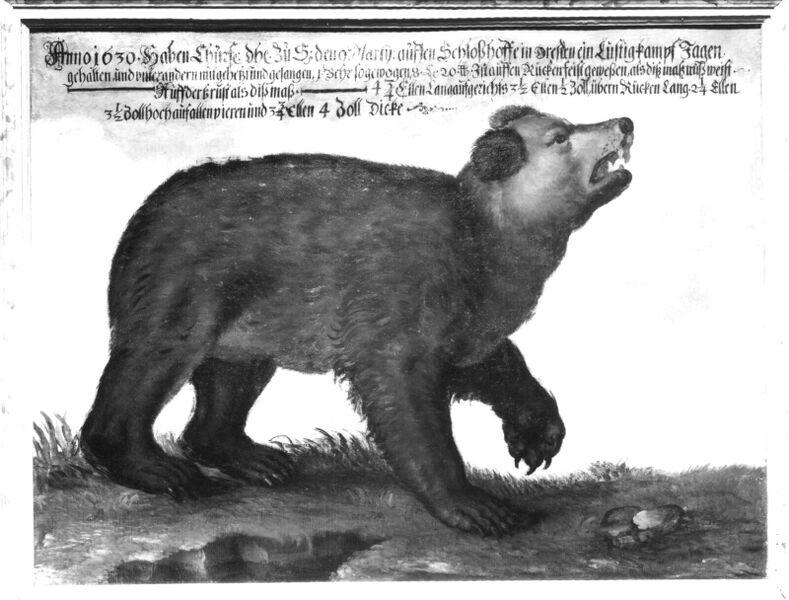 Datei:32d3da3c-671b-4ad9-a2b9-5ca452d8b82e.jpg