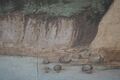Kreidefelsen von Rügen, Detail unten Mitte