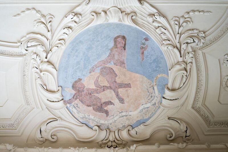 Datei:8815ad0d-c411-4d31-9d62-4ea1272b226e.jpg