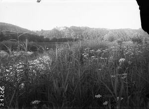 1825a64a-6b93-4f82-8a21-4c38739f81f7.jpg