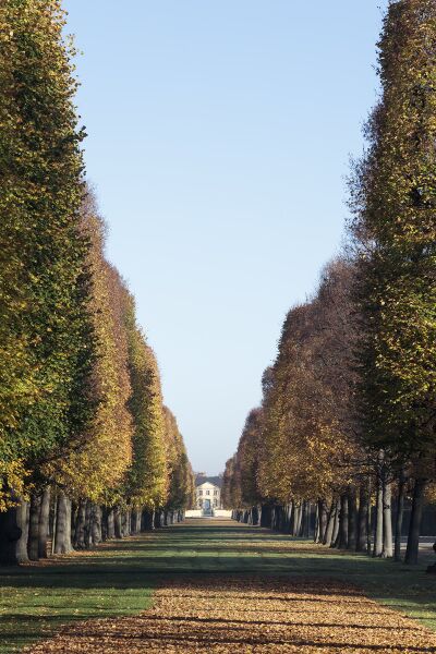 Datei:9ae343de-e3b0-4233-b235-390b969bb65a.jpg