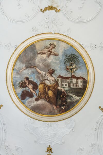 Datei:31b71e94-aea8-4764-84a9-24136e287c71.jpg