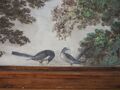 Mindelheim, Pflegerhaus, Maximilianstraße 61, Ostwand, Vogel-Paar gleicher Gattung